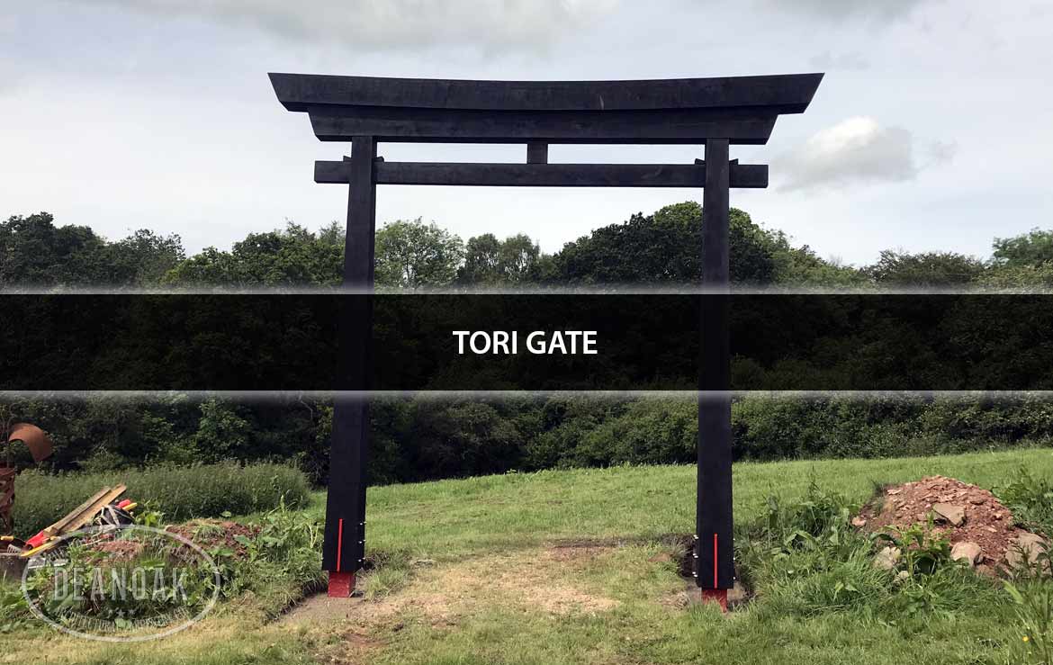 Carousel - Tori Gate
